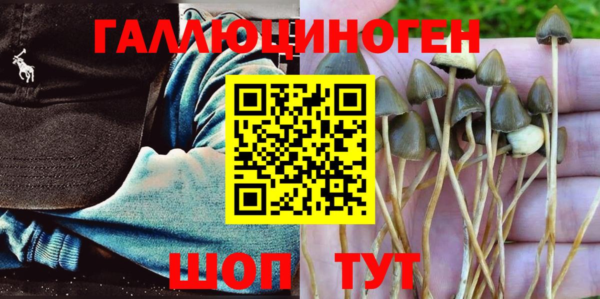 Псилоцибиновые грибы Magic Shrooms  Вход с VPN  где купить   Октябрьский 